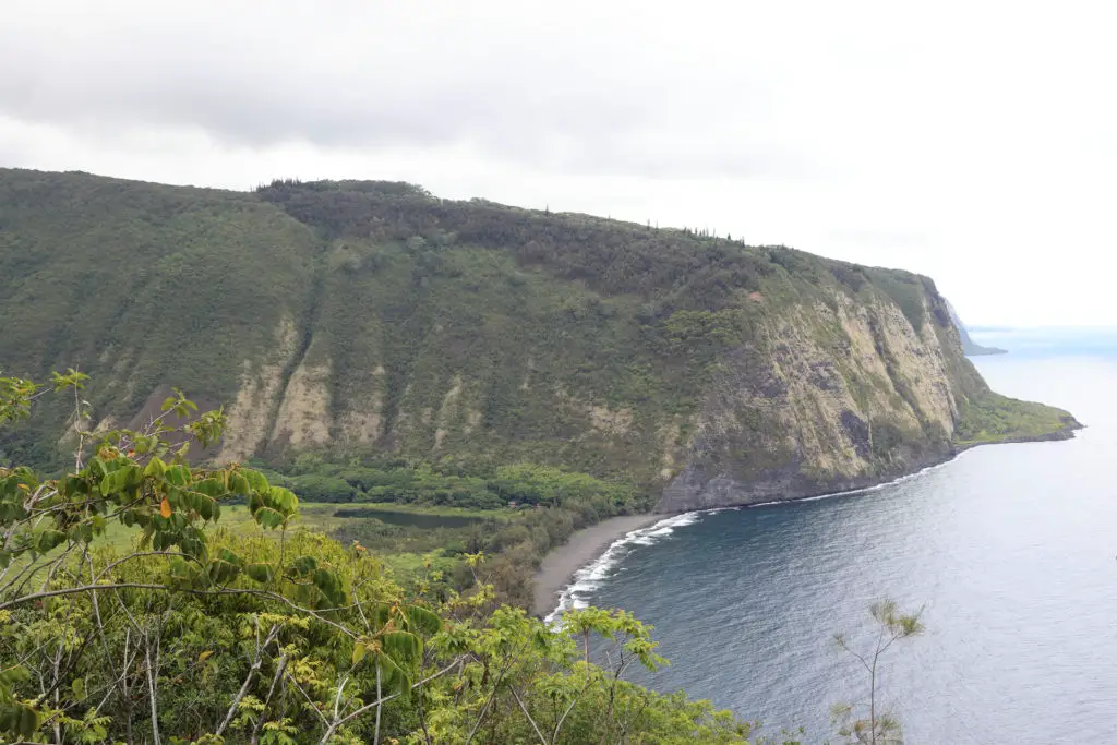 Rio Grande Turkey Hunting in Hawaii