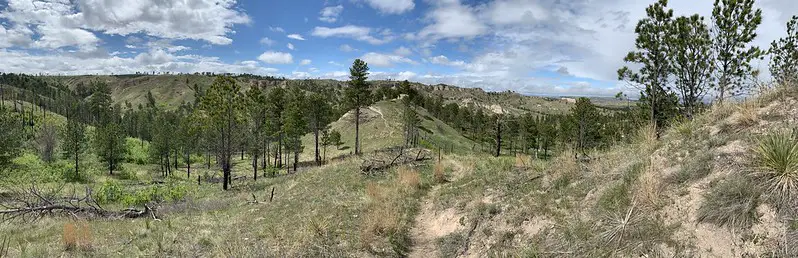 Pine Ridge Region of Nebraska hunting Merriam's turkey