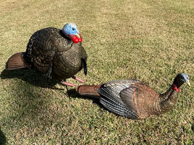 Review Avian X Turkey Decoy