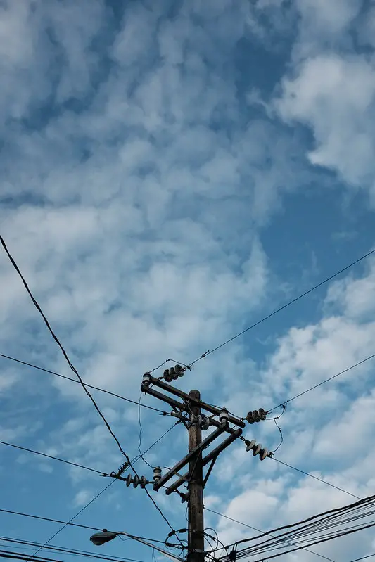 In areas without many trees, turkeys may roost in utility poles.