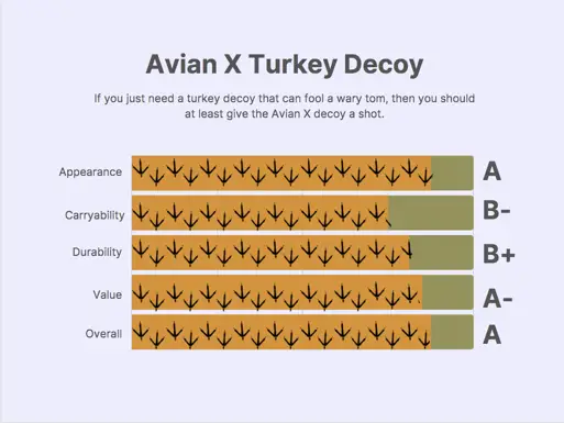 Avian X Turkey Decoy Review