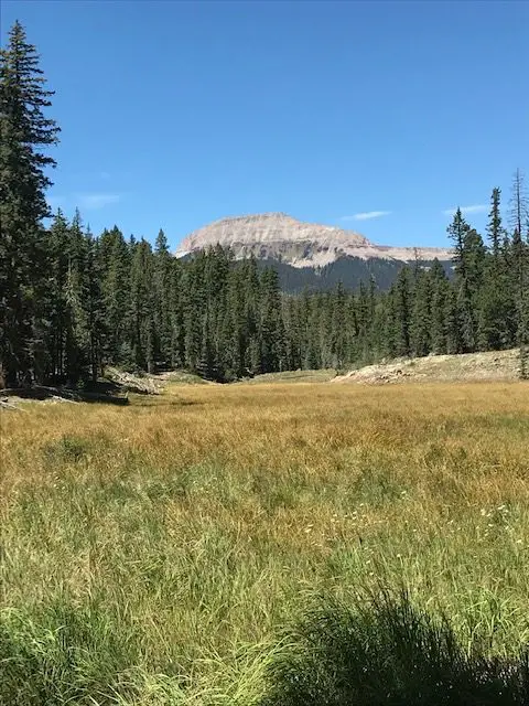 Colorado Turkey Hunting