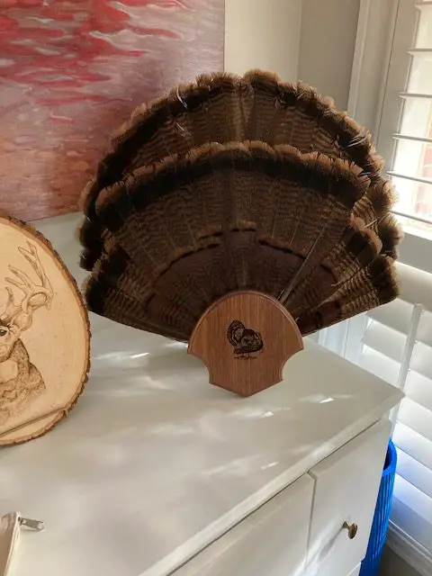 Accent your house with a turkey fan mount.