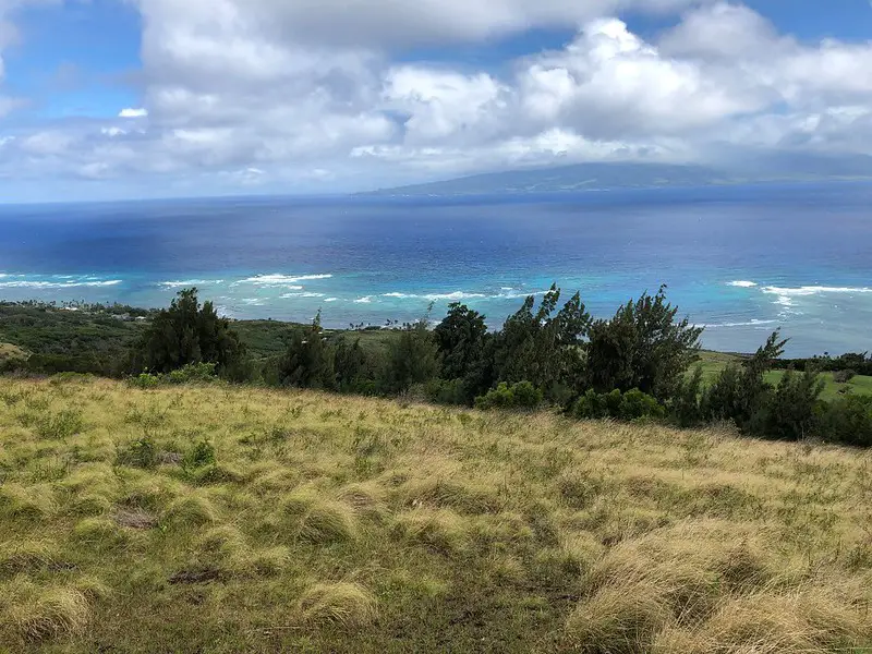 Hawaii turkey hunting on Molokai