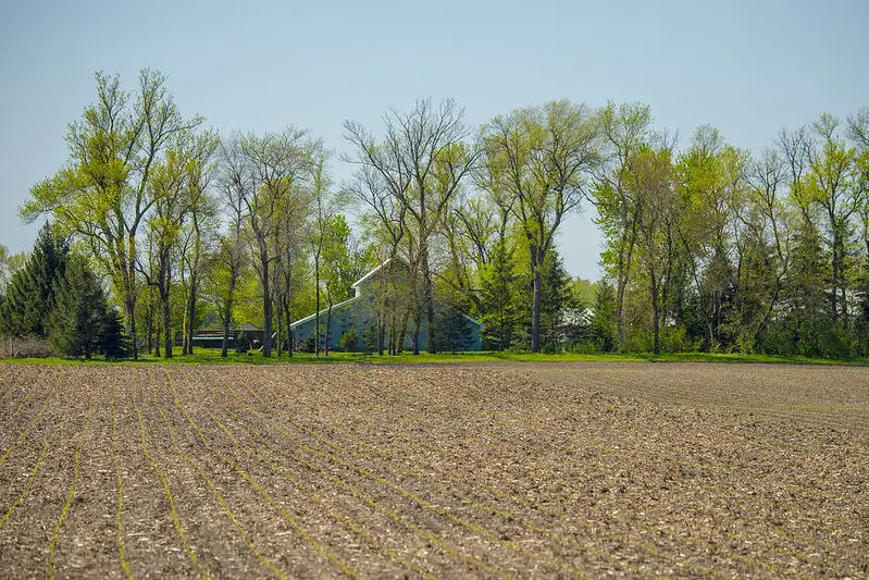 Iowa turkey hunting landscape