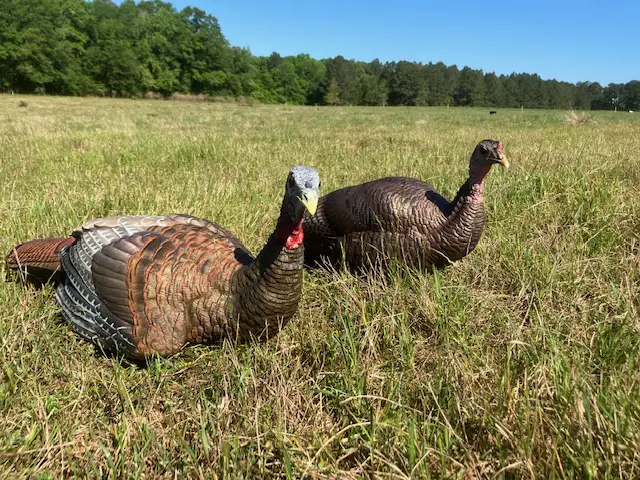 An Avian X Decoy compared to a DSD Decoy.