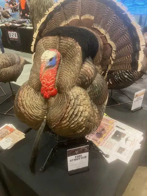 A strutter DSD turkey decoy.